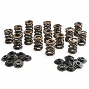 Dual Racing Valve Spring Kit Opel 16v 6mm