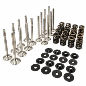 Dual Racing Valve Spring + Valve Kit VW ABF