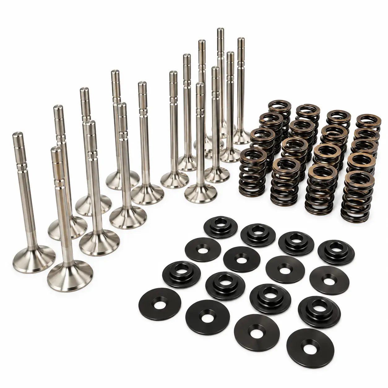 Dual Racing Valve Spring + Valve Kit VW ABF