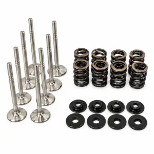 Dual Racing Valve Spring Kit + Valves VW 8v