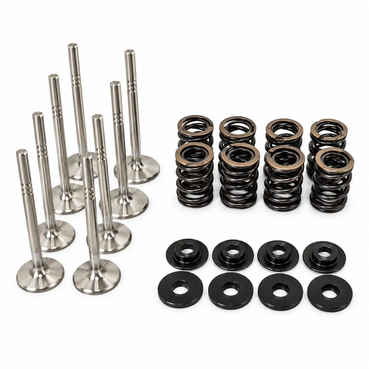 Dual Racing Valve Spring Kit + Valves VW 8v