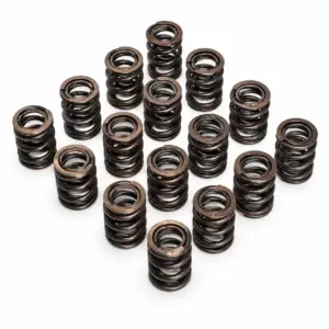 Dual Racing Valve Spring Kit Mazda FE3 16v