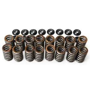 Single Racing Valve Spring Kit Ford ST150/170