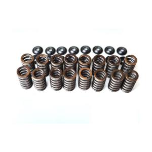 Single Racing Valve Spring Kit Ford ST150/170