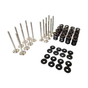 Dual Racing Valve Spring + Valve Kit VW ABF