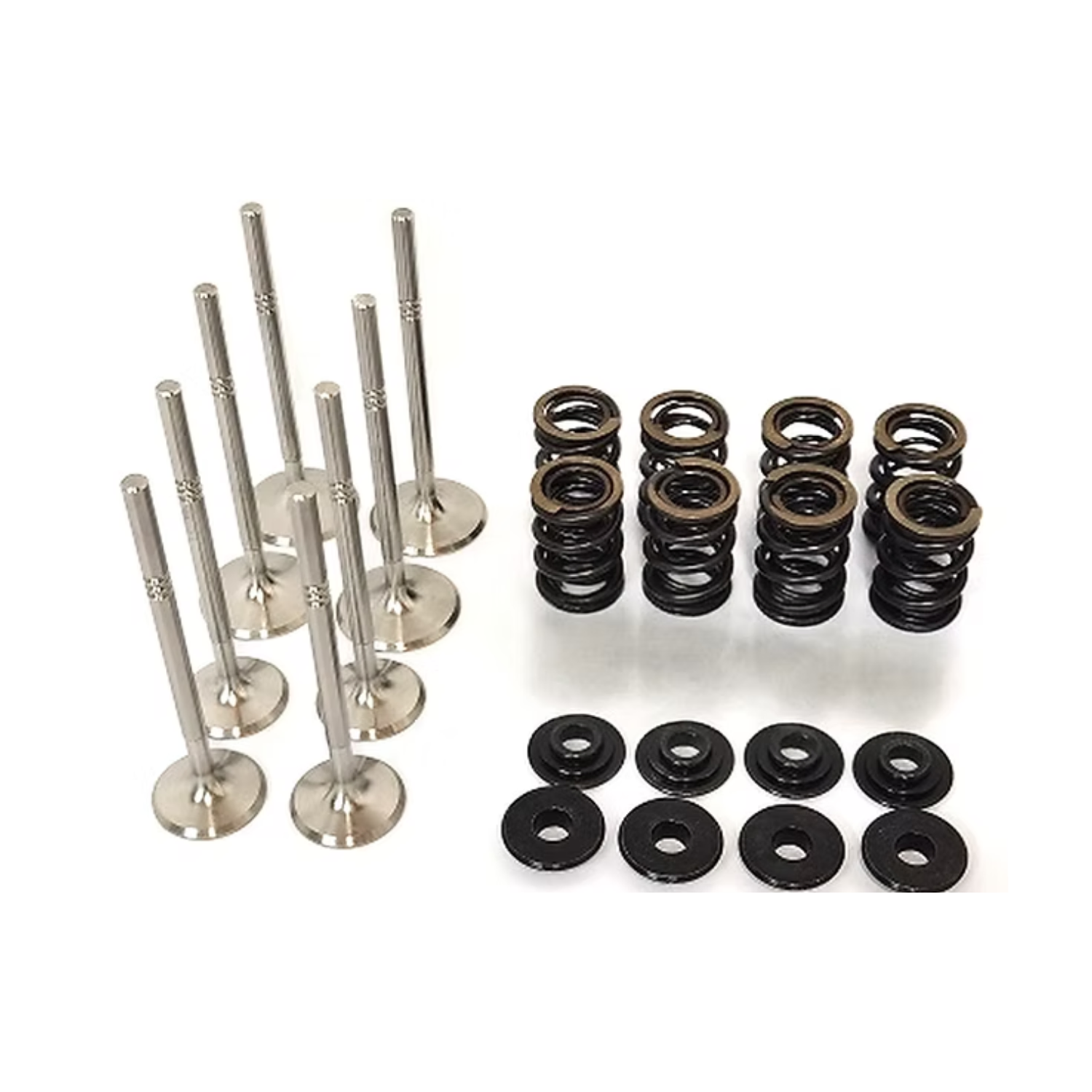 Dual Racing Valve Spring Kit VW 8v