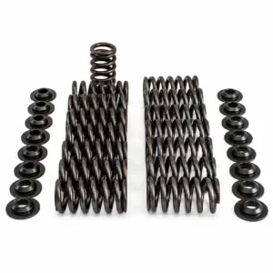 Racing Valve Spring Kit VW 1.4TFSi