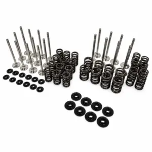 Racing Valve Spring Kit + Forged Valves Audi 1.8T 20v