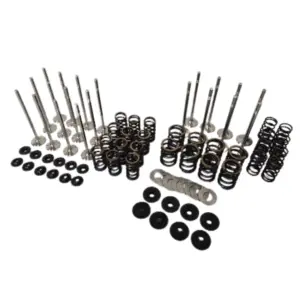 Racing Valve Spring Kit + Forged Valves Audi 1.8T 20v