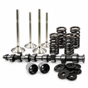 Audi 1.8 NA 20v Camshaft Kit 288H