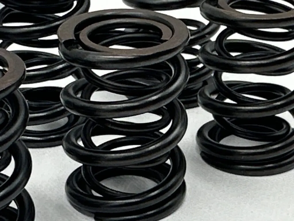 Racing Valve Spring Kit BMW M20 | STK Performance