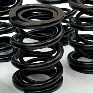 Racing Valve Spring Set BMW M20