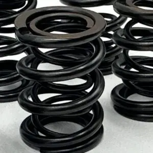 Racing Dual Valve Spring Kit 6mm BMW M52