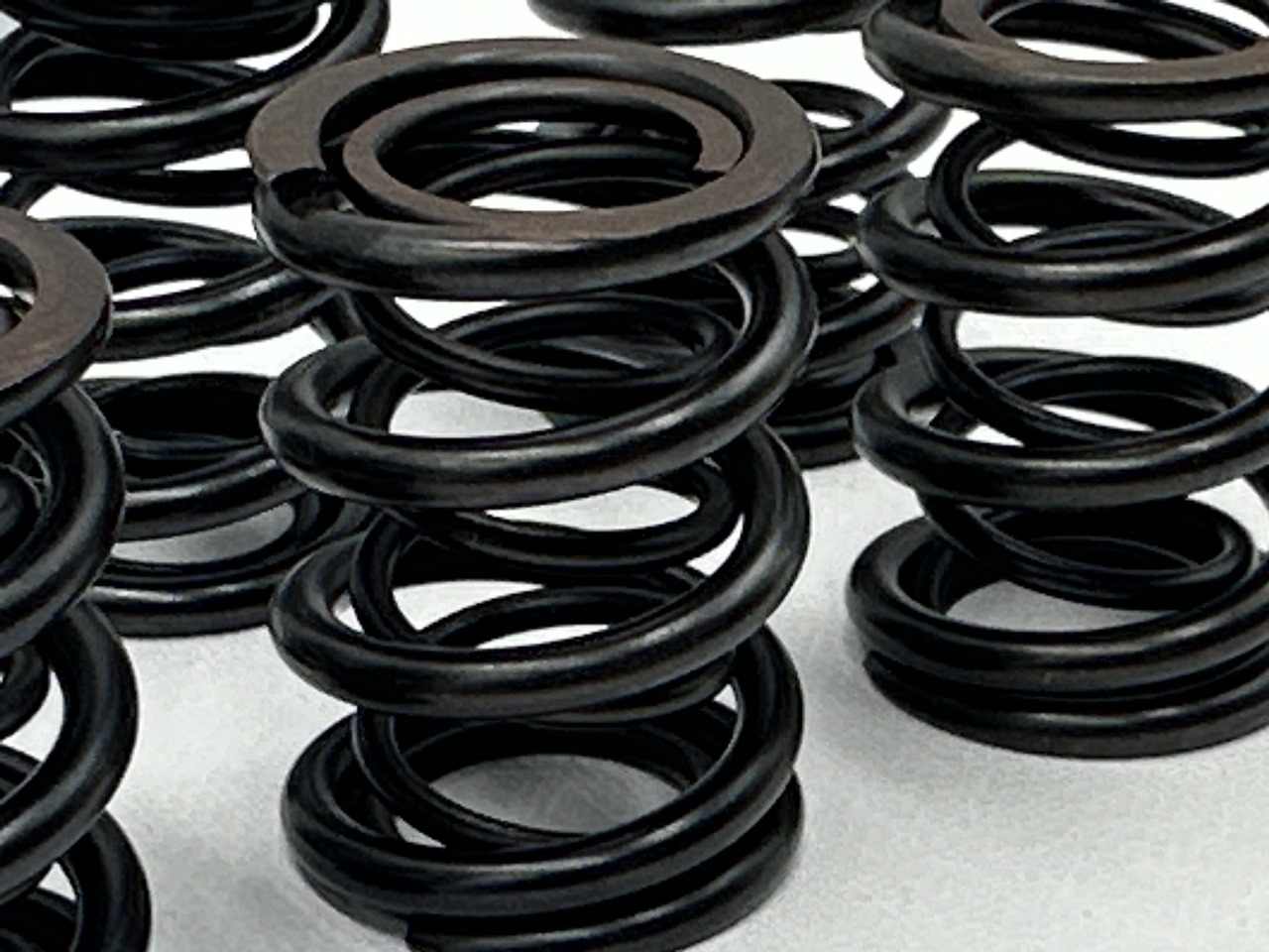 Racing Valve Spring Set BMW M20