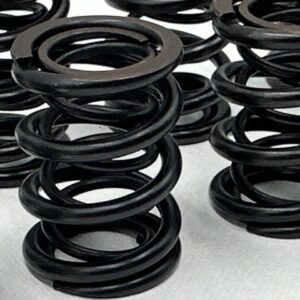 Racing Dual Valve Spring Set BMW 24v
