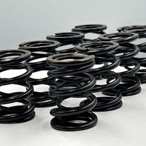 Dual Racing Valve Spring Set Opel 8v