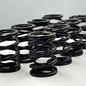 Dual Racing Valve Spring Set Opel 8v