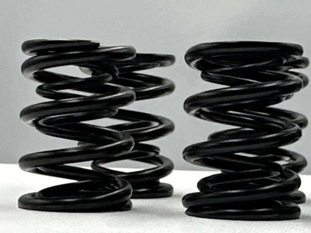 Racing Dual Valve Spring Kit 6mm BMW M54 | STK Performance