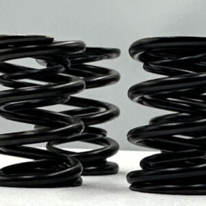 Racing Dual Valve Spring Kit 6mm BMW M54