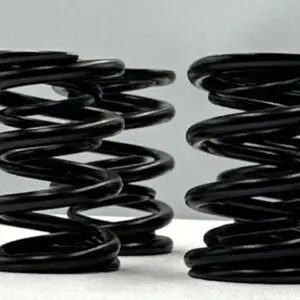 Racing Dual Valve Spring Kit 6mm BMW M54