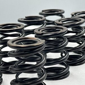 Racing Valve Spring Set Ford Pinto