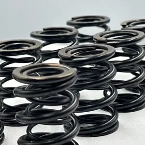 Racing Dual Valve Spring Kit 7mm BMW M50