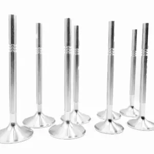 Forged Stainless Steel Valve Set – Audi 1.8T 20V (214-N)
