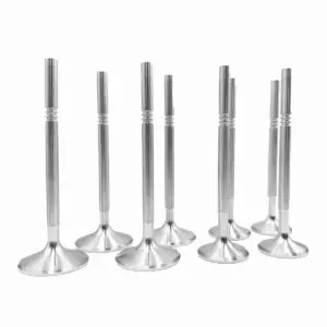 Valve Set Forged SS VW 8v