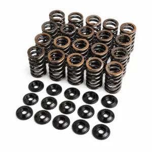 Single Racing Valve Spring Kit Audi RS3