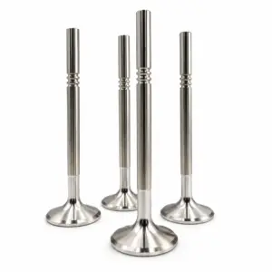Forged Stainless Steel Valve Set – BMW 24v (214-N)