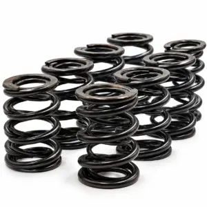 Racing Dual Valve Spring Set BMW 24v