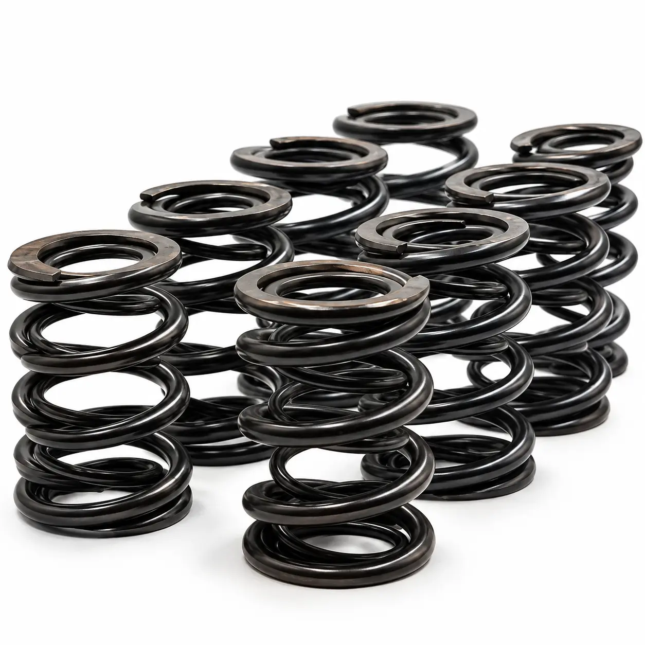 Racing Dual Valve Spring Set BMW 24v