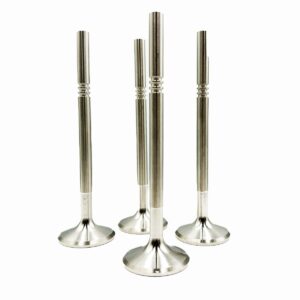 Forged Stainless Steel Valve Set – BMW 24v (214-N)