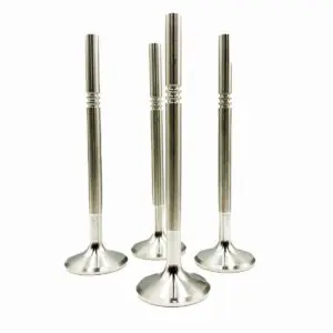 Forged Stainless Steel Valve Set – BMW 24v (214-N)