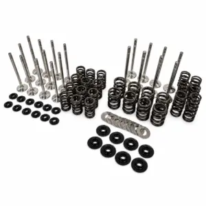 Racing Dual Valve Spring Kit + 6mm Chromoly Retainers + Locators + Valve Set BMW M52