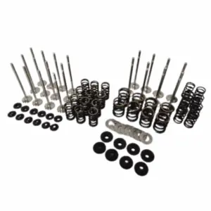 Racing Dual Valve Spring Kit + 6mm Chromoly Retainers + Locators + Valve Set BMW M54