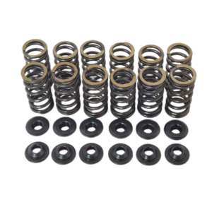 Racing Dual Valve Spring Kit – Opel 8v
